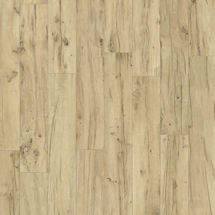 Provenza Revival Provenza