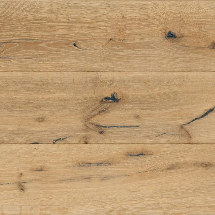 Rovere Artico