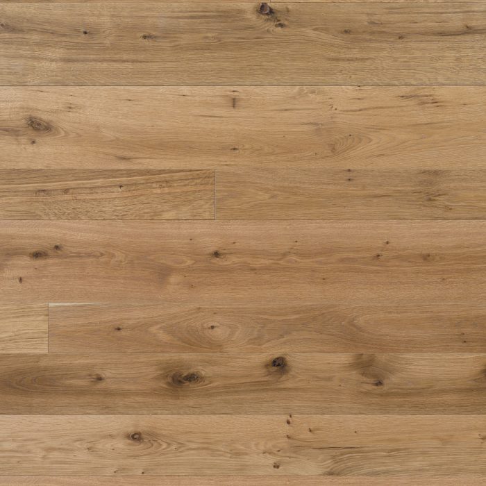 Rovere Vecchia Quercia