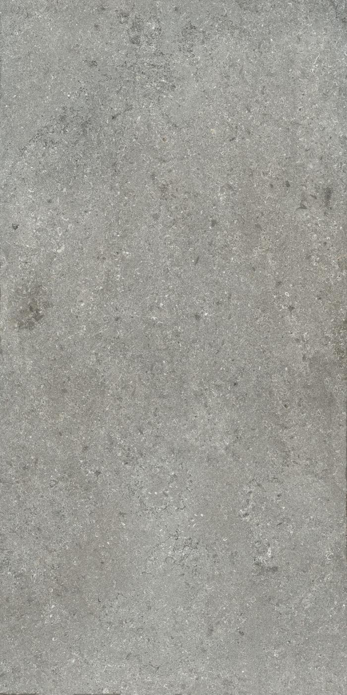 AVIGNONE