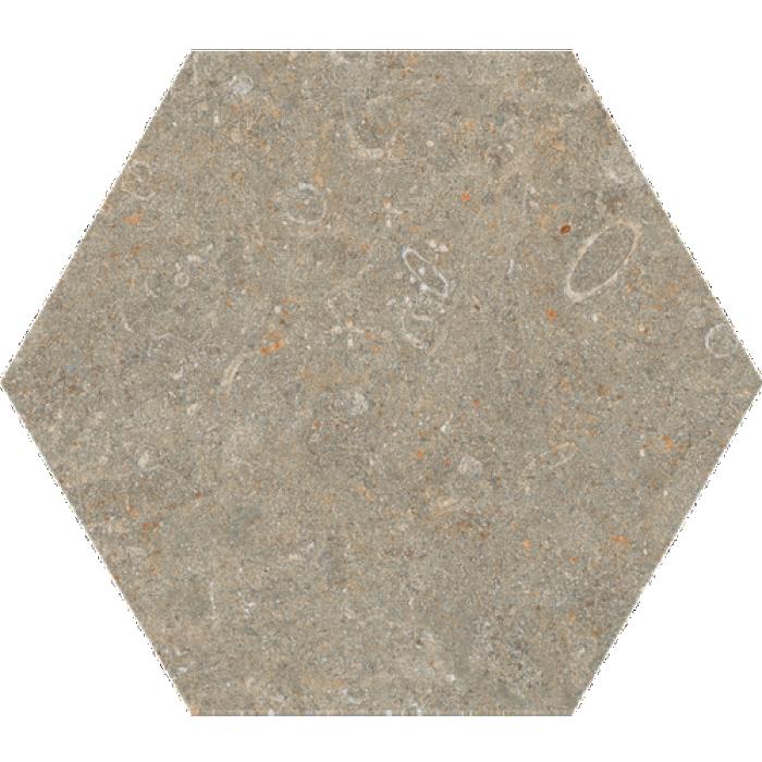Arkistyle Fossil Esa