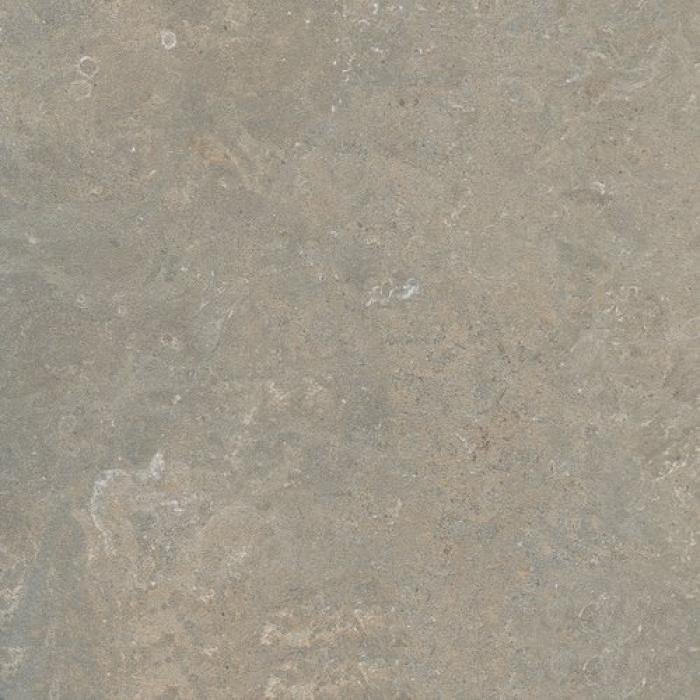 Arkistyle Fossil