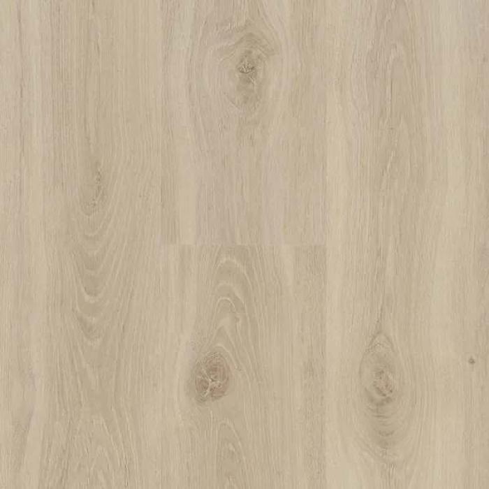 Bloom Sand Natural
