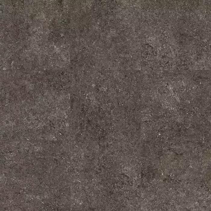 Brown Fossil
