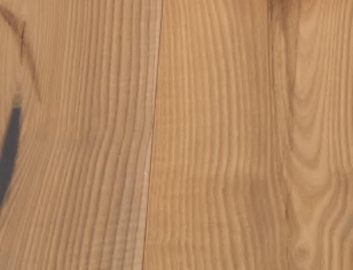Frassino Maggiore Delle Piccole Dolomiti