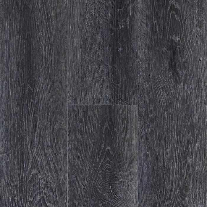 French Black