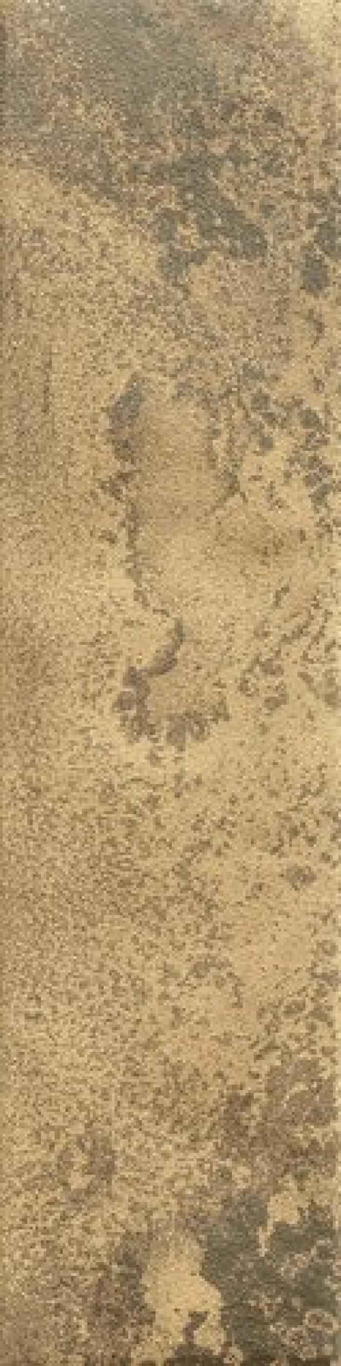 Fuoco oro brunito