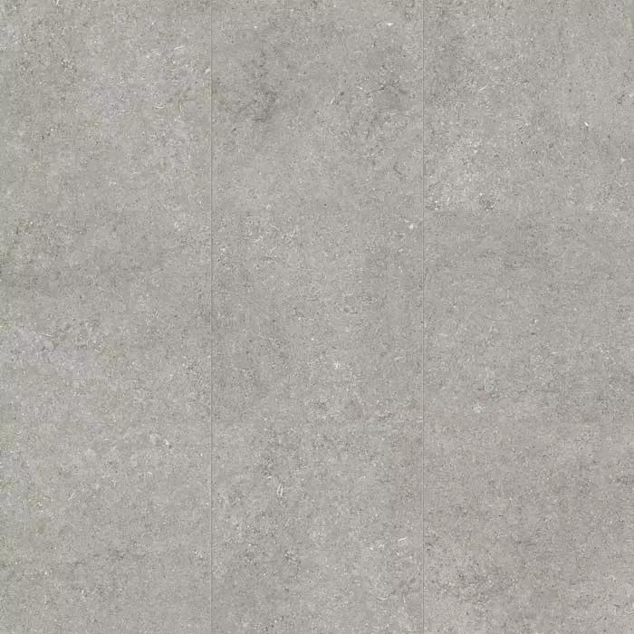 Grey Fossil