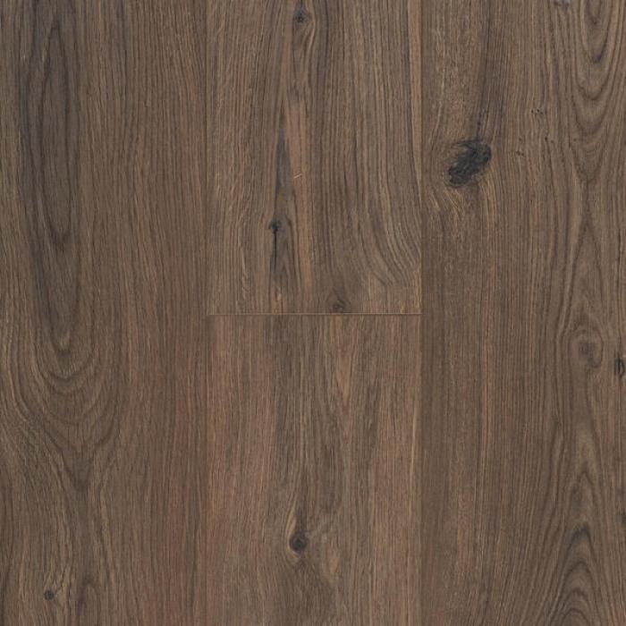 Gyant Dark Brown