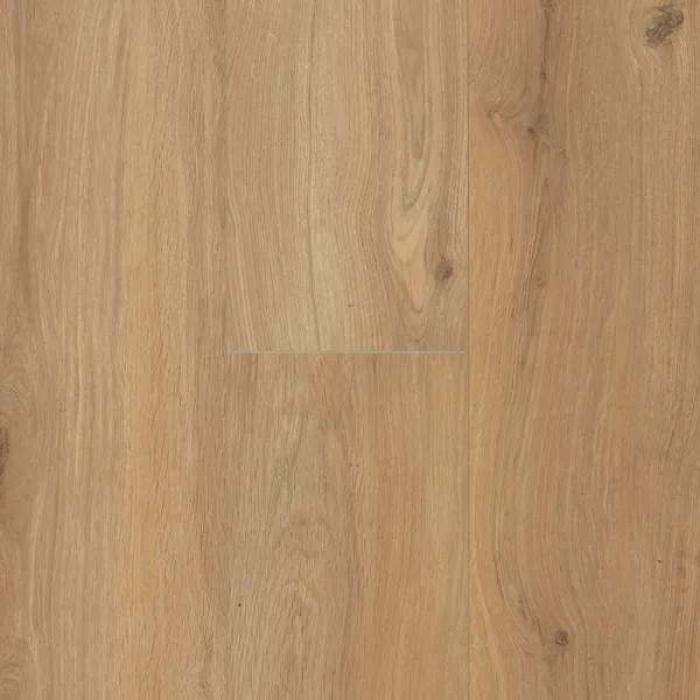 Gyant Warm Natural 1