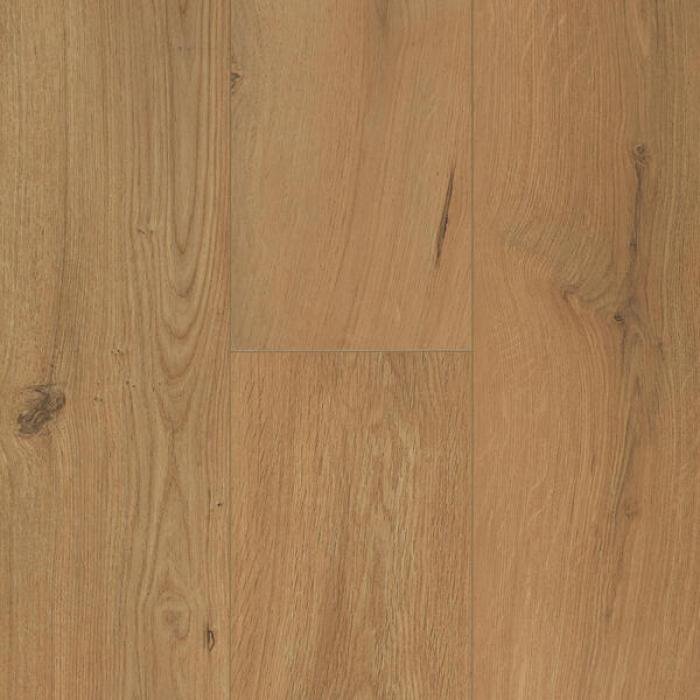 Gyant Warm Natural