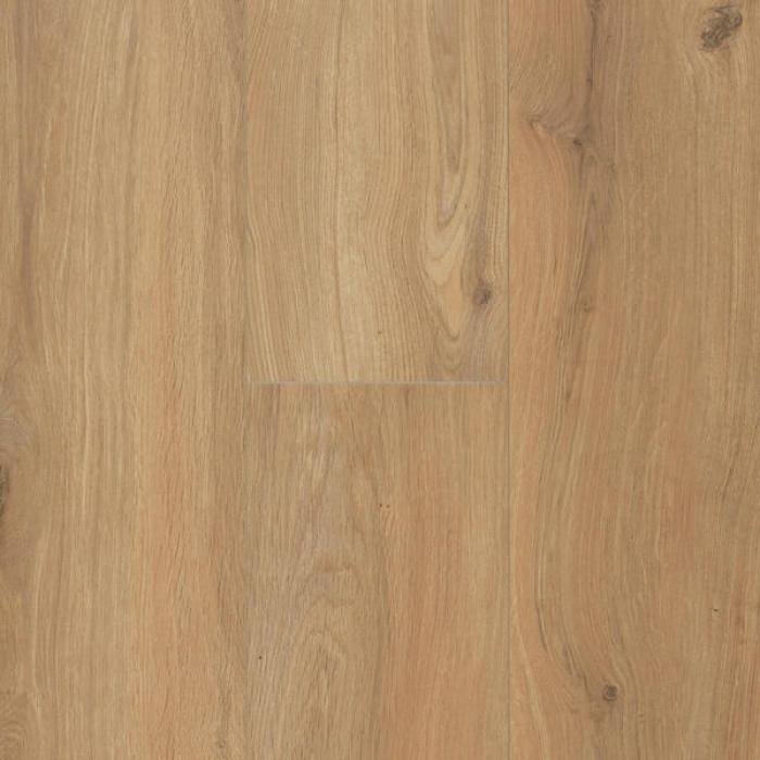 Gyant Xl Warm Natural