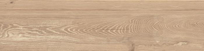Larch