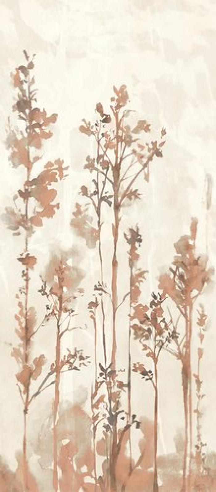 MULTIFORME DUNE BOSCO