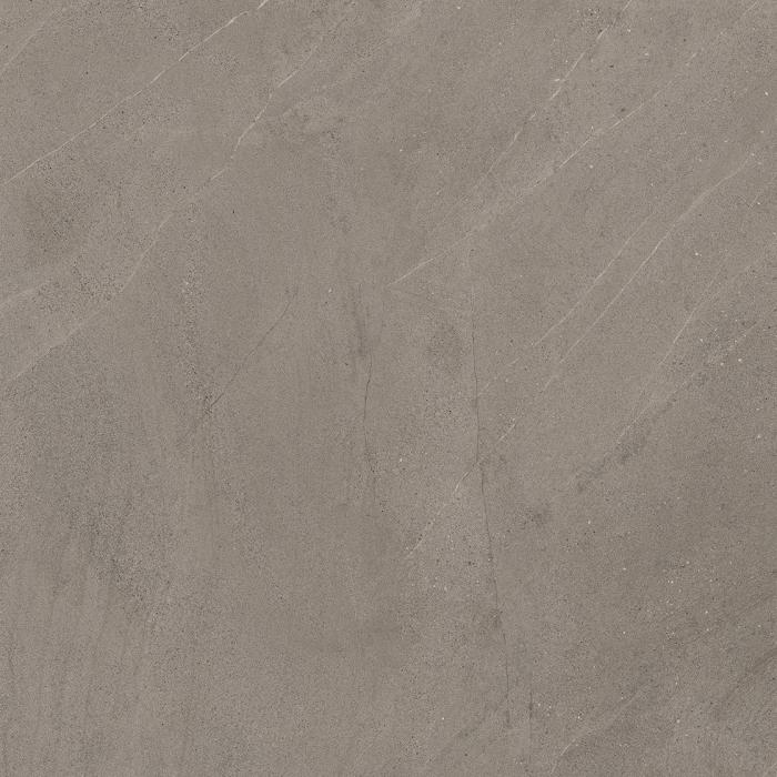 Next Taupe