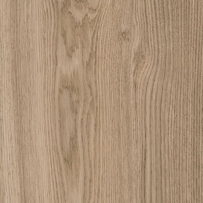 Oak Ginger