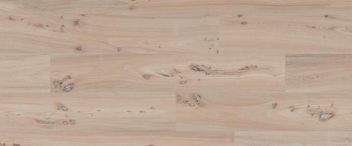 Olmo Naturale