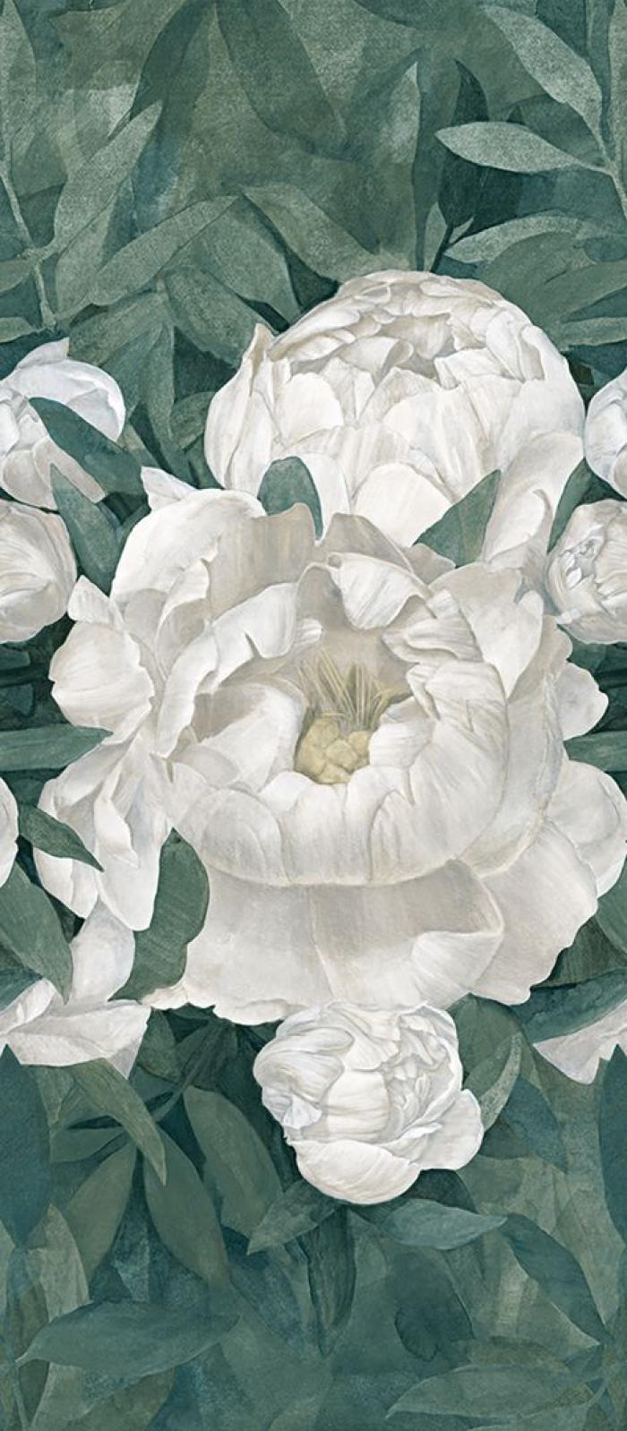 Peonia
