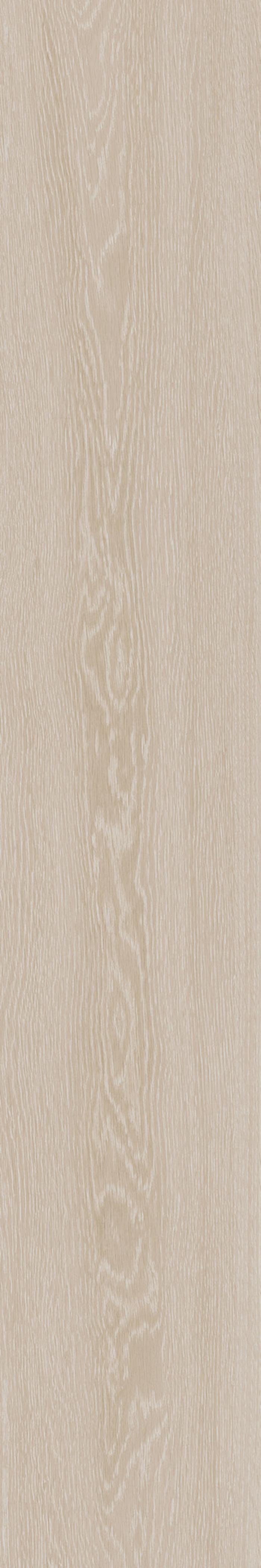 ROVERE AVORIO