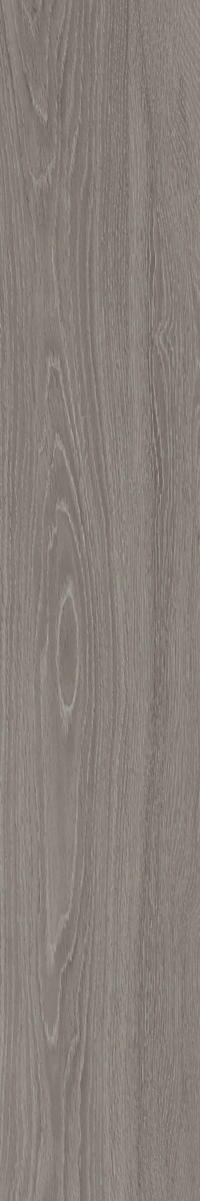 ROVERE GRIGIO