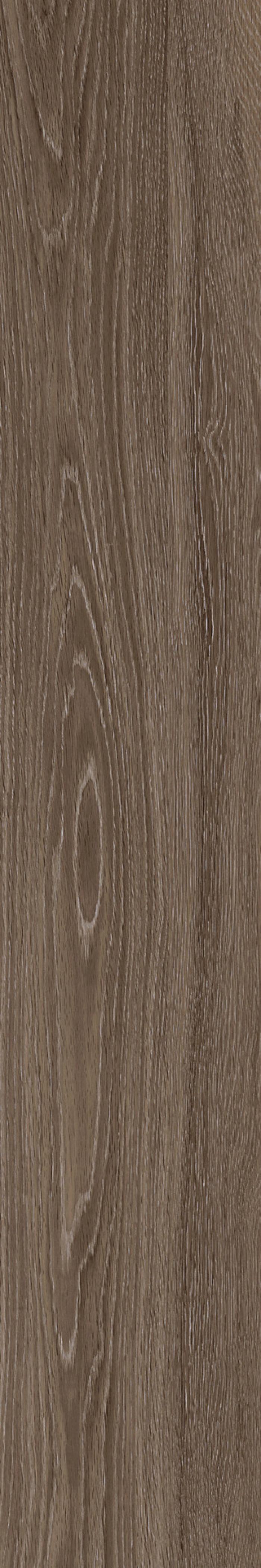 ROVERE MARRONE