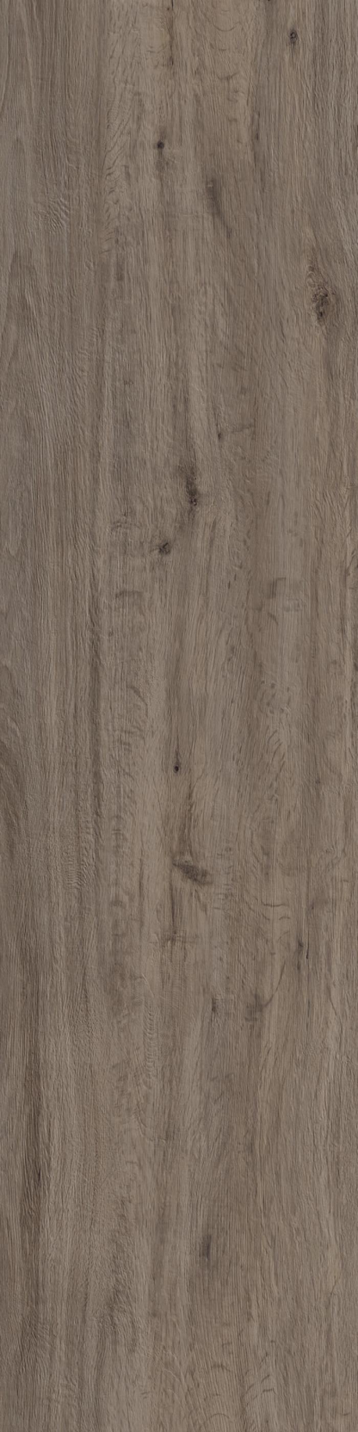 ROVERE TORTORA