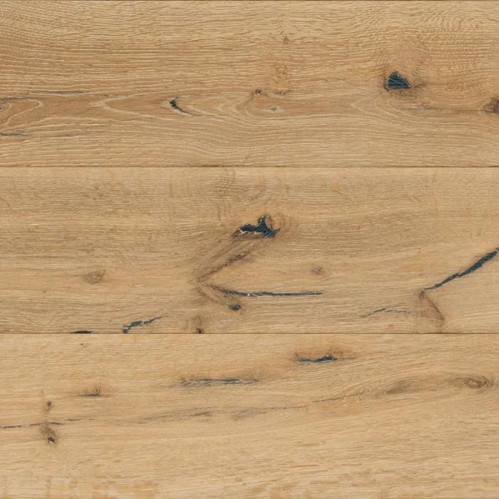 Rovere Artico