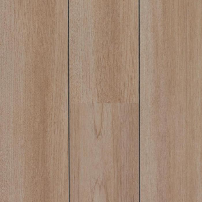 Rovere Bergen Navale
