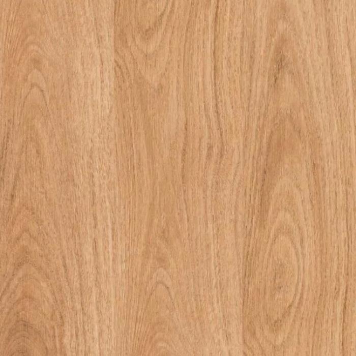 Sequoia