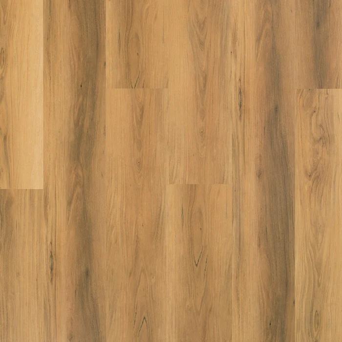 Spinosa