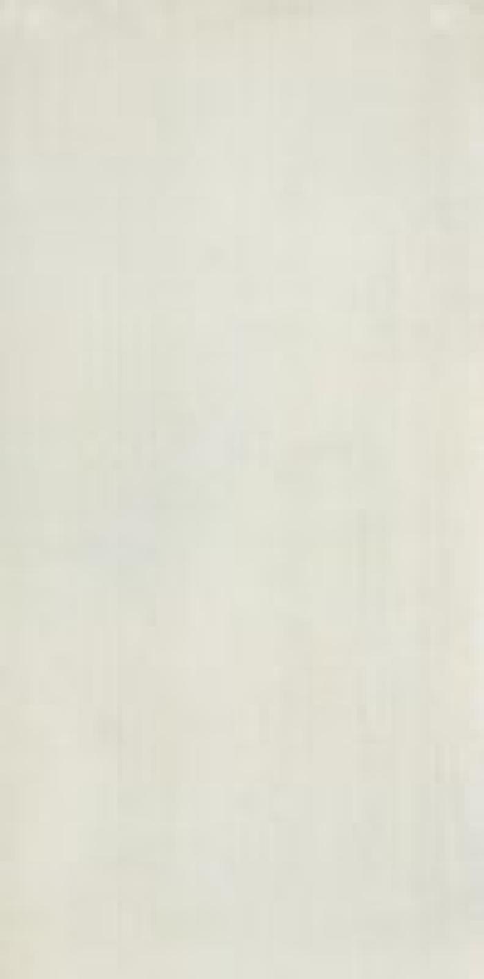 Stonecloud White Trama