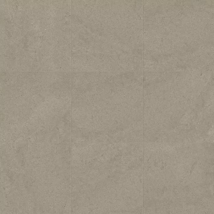Taupe Dust