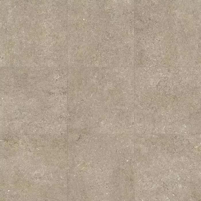 Taupe Fossil