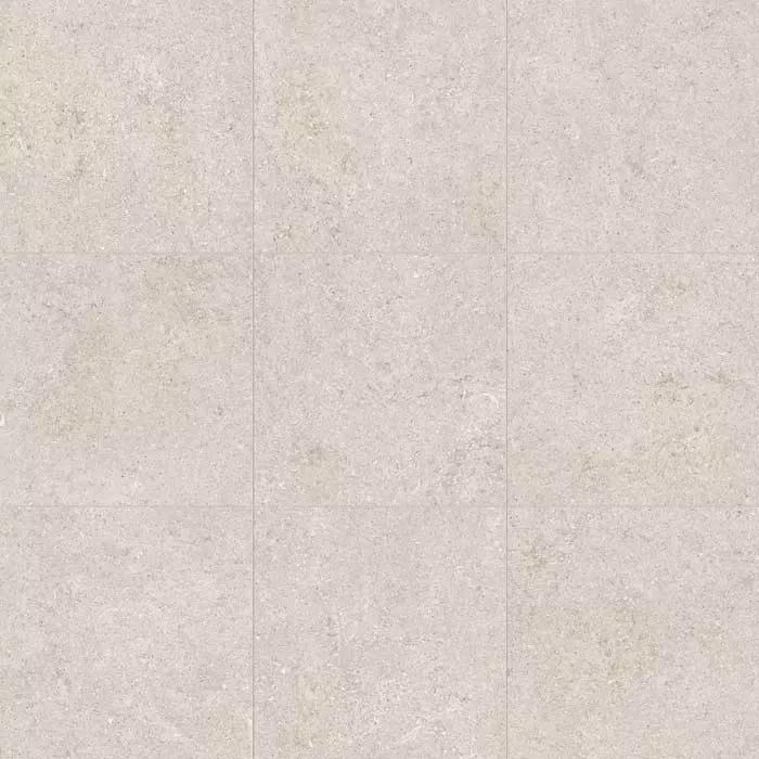 White Fossil